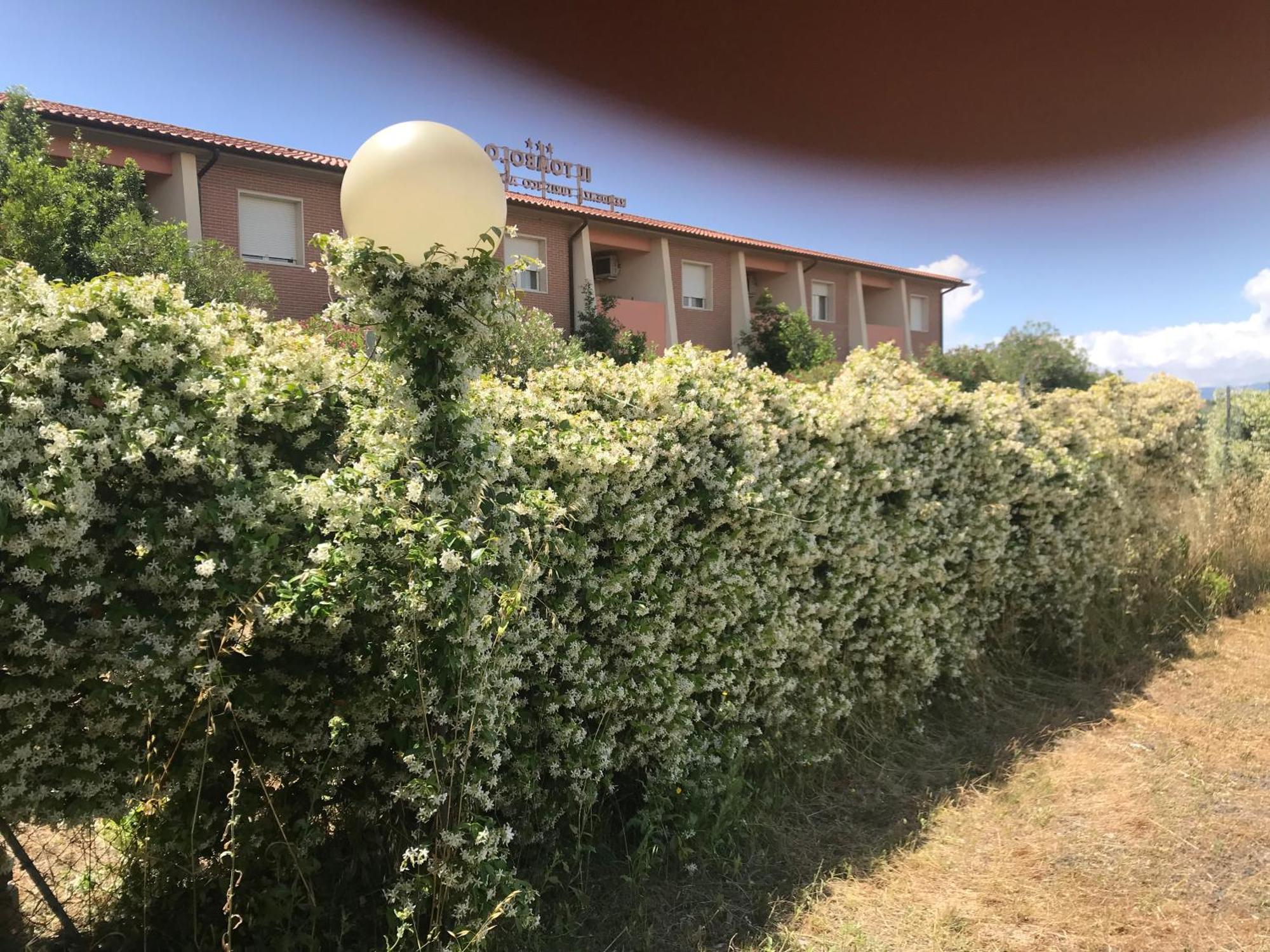 Il Tombolo Principina a Mare